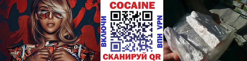 Кокаин Fish Scale  Купить закладки  Цивильск 