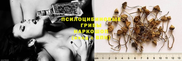 твердый Киренск