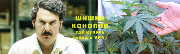 сатива Кинешма