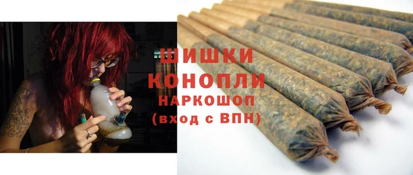 сатива Кинешма