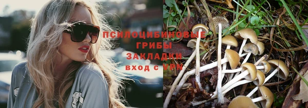 сатива Кинешма