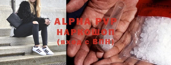 сатива Кинешма