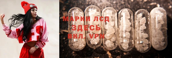 сатива Кинешма