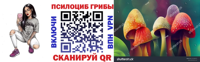 Галлюциногенные грибы мухоморы  Купить закладки  Цивильск 